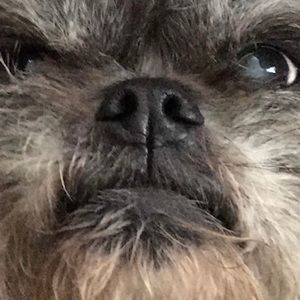 Meet your Posher, Emiliana